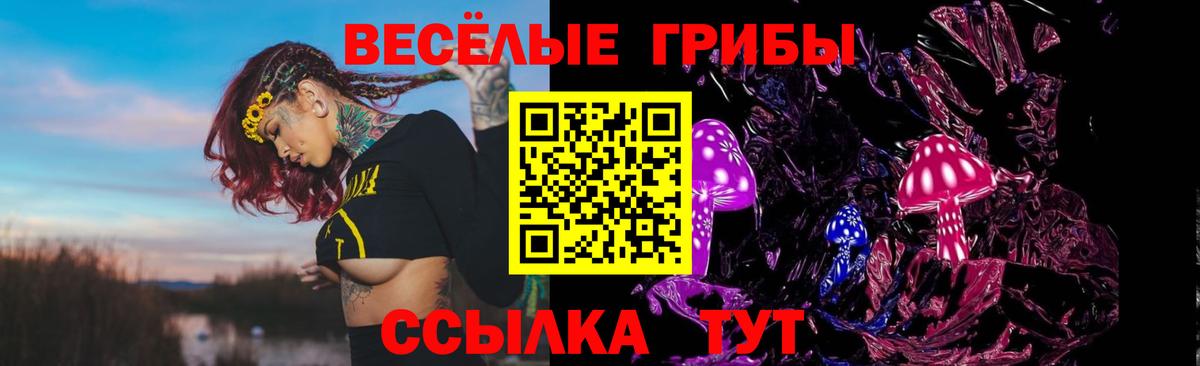 Казань  Псилоцибиновые грибы Cubensis  Галлюциногенные грибы ЛСД  Вход с VPN 